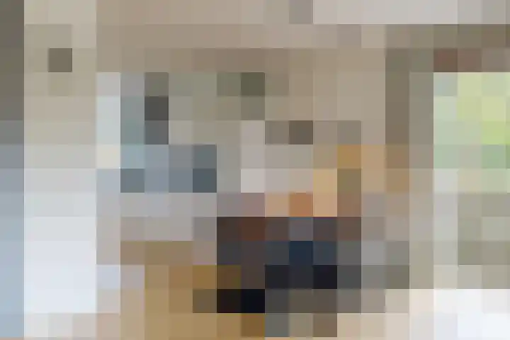 Mattenbieslaan 71 Vleuten thumbnail 9