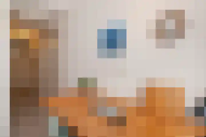 Mattenbiesstraat 100 Rotterdam thumbnail 9