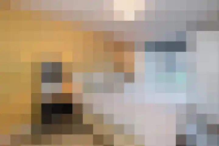 Mattenbiesstraat 50 Rotterdam thumbnail 21