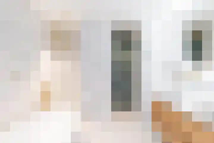 Mattenbiesstraat 50 Rotterdam thumbnail 4