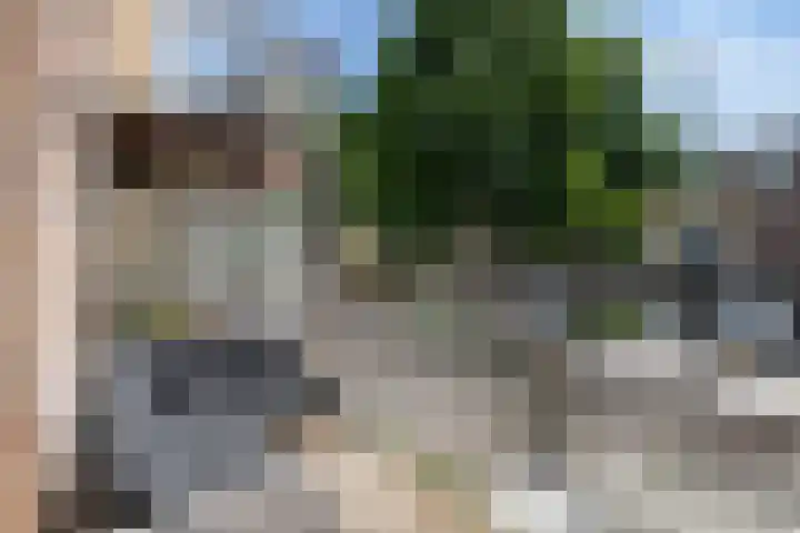 Mattenbiesstraat 60 Rotterdam thumbnail 10