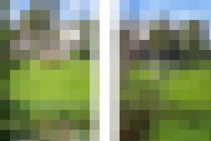 Mattenbiesstraat 64 Rotterdam thumbnail 4