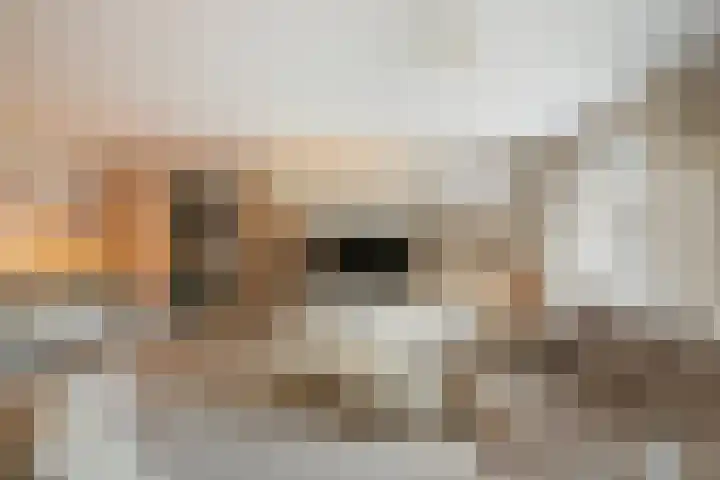 Mattenbiesstraat 64 Rotterdam thumbnail 6