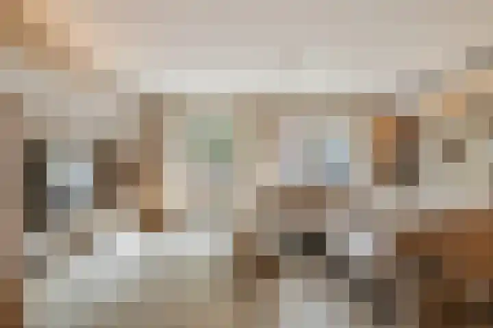 Mattenbiesstraat 64 Rotterdam thumbnail 7