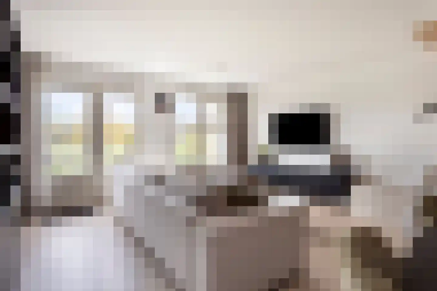 Mattenbiesstraat 72 Rotterdam thumbnail 11