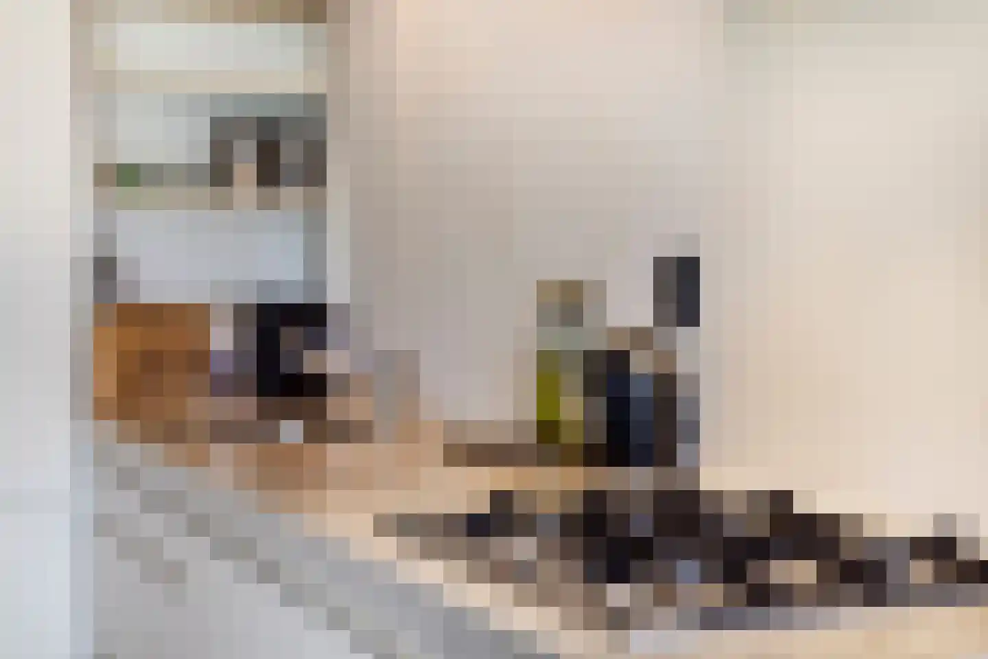 Mattenbiesstraat 72 Rotterdam thumbnail 16