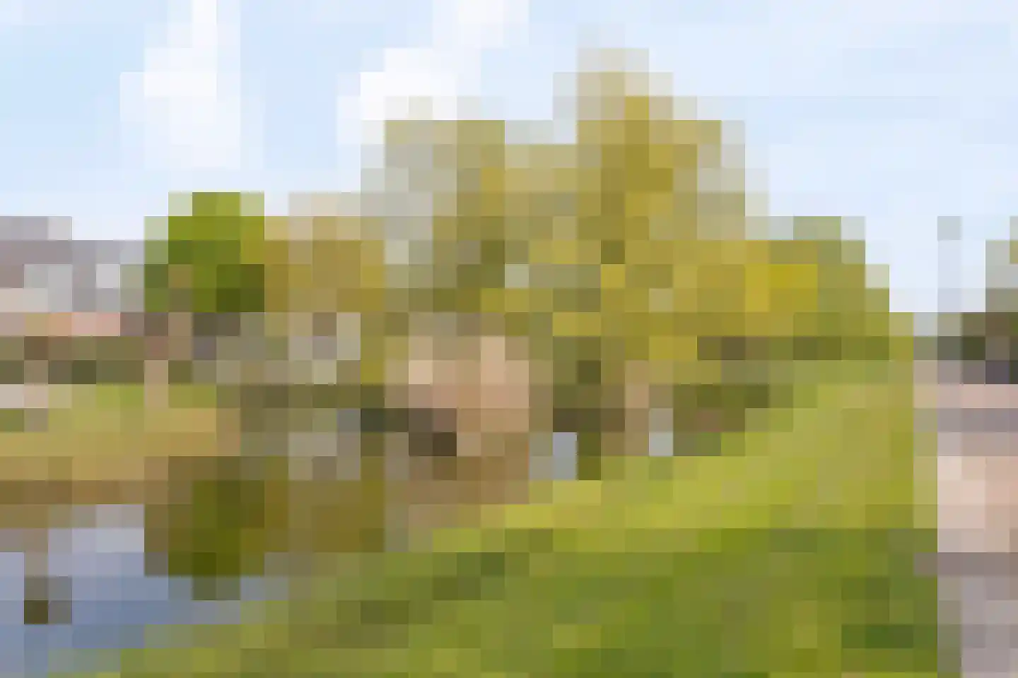 Mattenbiesstraat 72 Rotterdam thumbnail 35