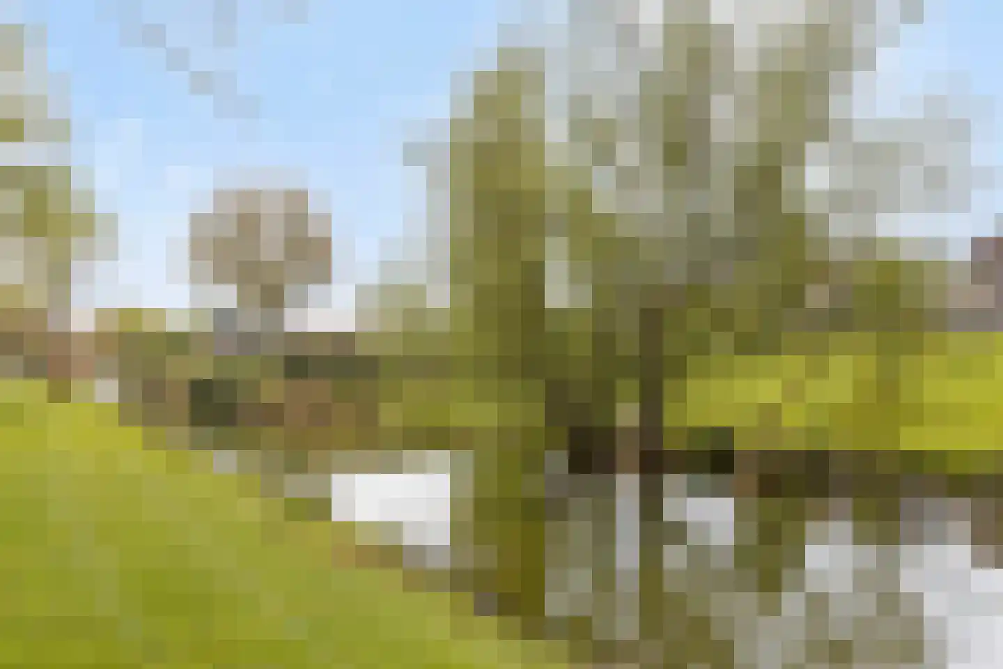 Mattenbiesstraat 72 Rotterdam thumbnail 36