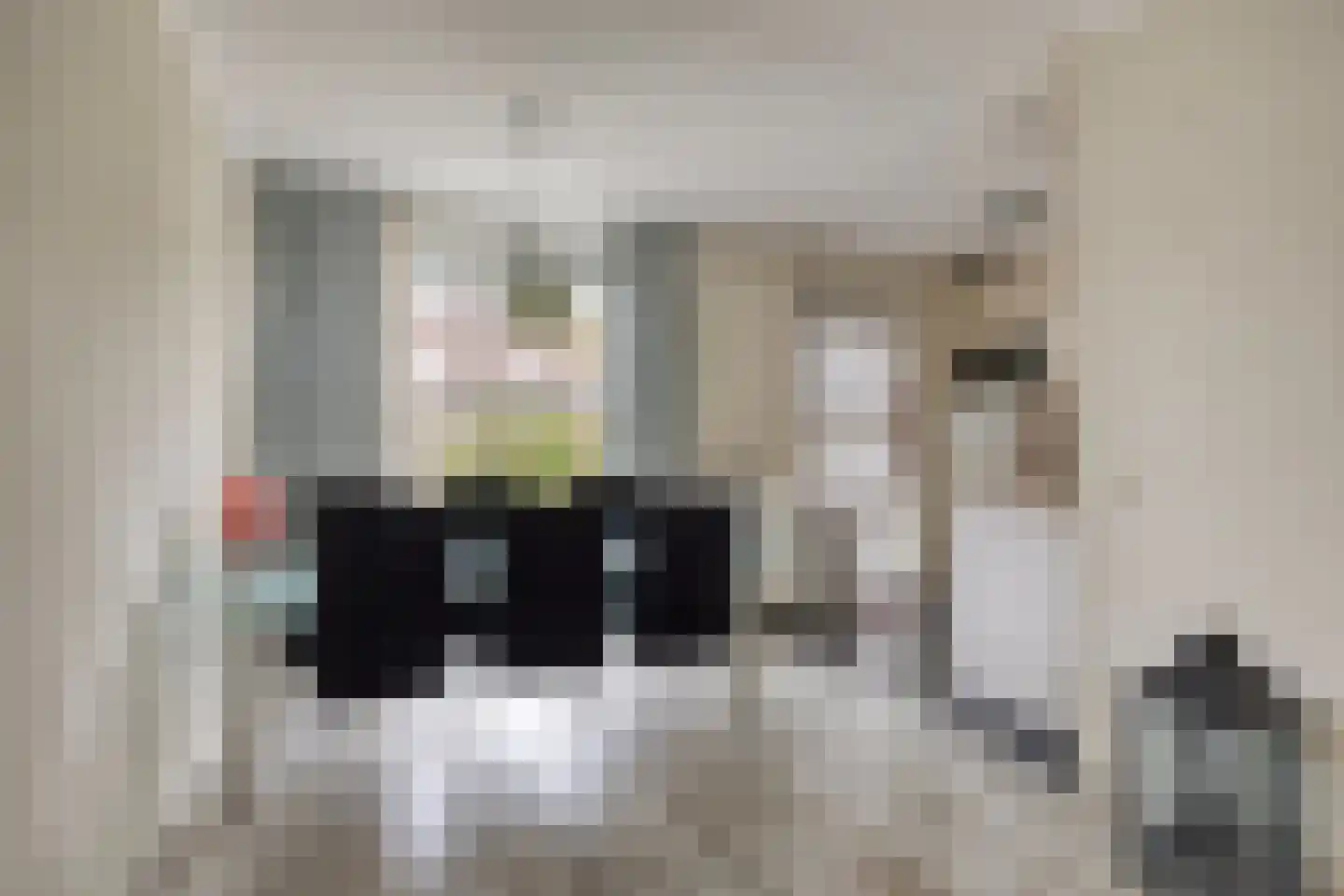 Mattenvlechter 10 Veenhuizen thumbnail 11