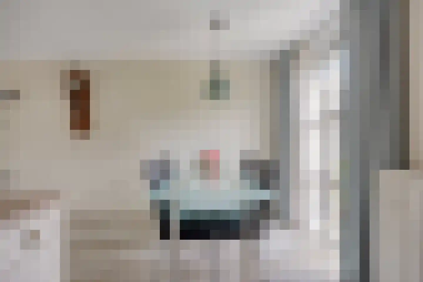 Mattenvlechter 10 Veenhuizen thumbnail 12