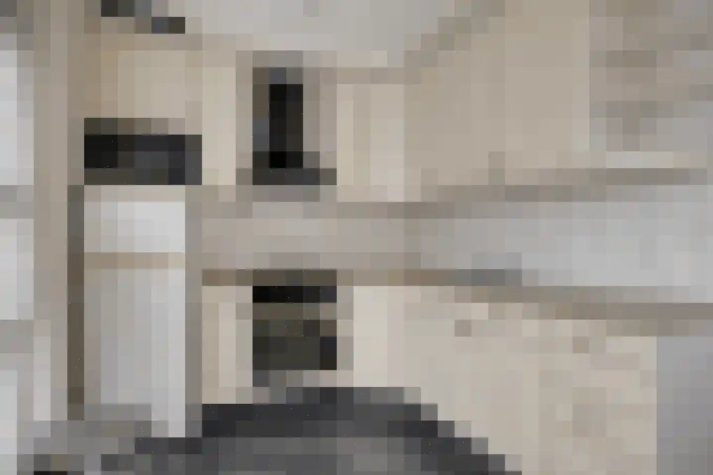 Mattenvlechter 10 Veenhuizen thumbnail 13