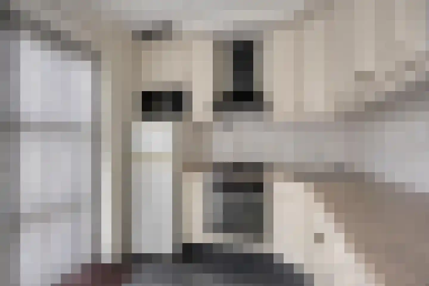 Mattenvlechter 10 Veenhuizen thumbnail 14