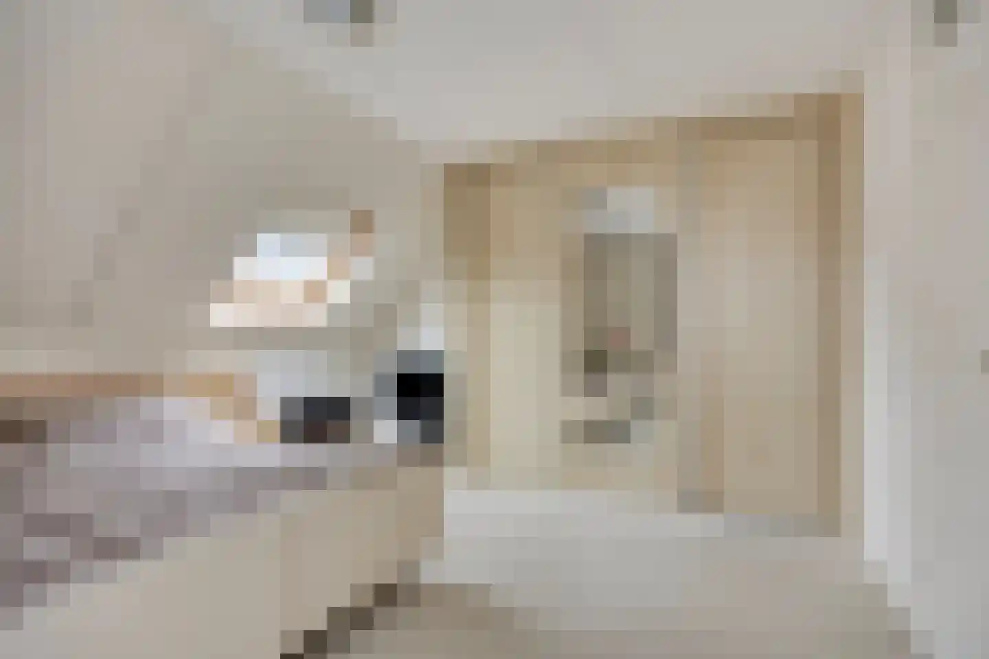 Mattenvlechter 10 Veenhuizen thumbnail 17