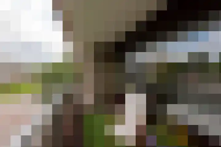 Matterhorn 24 Amstelveen thumbnail 17