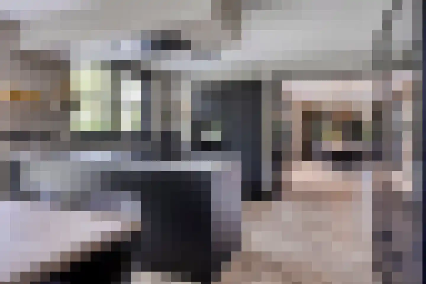 Matterhorn 24 Eindhoven thumbnail 23