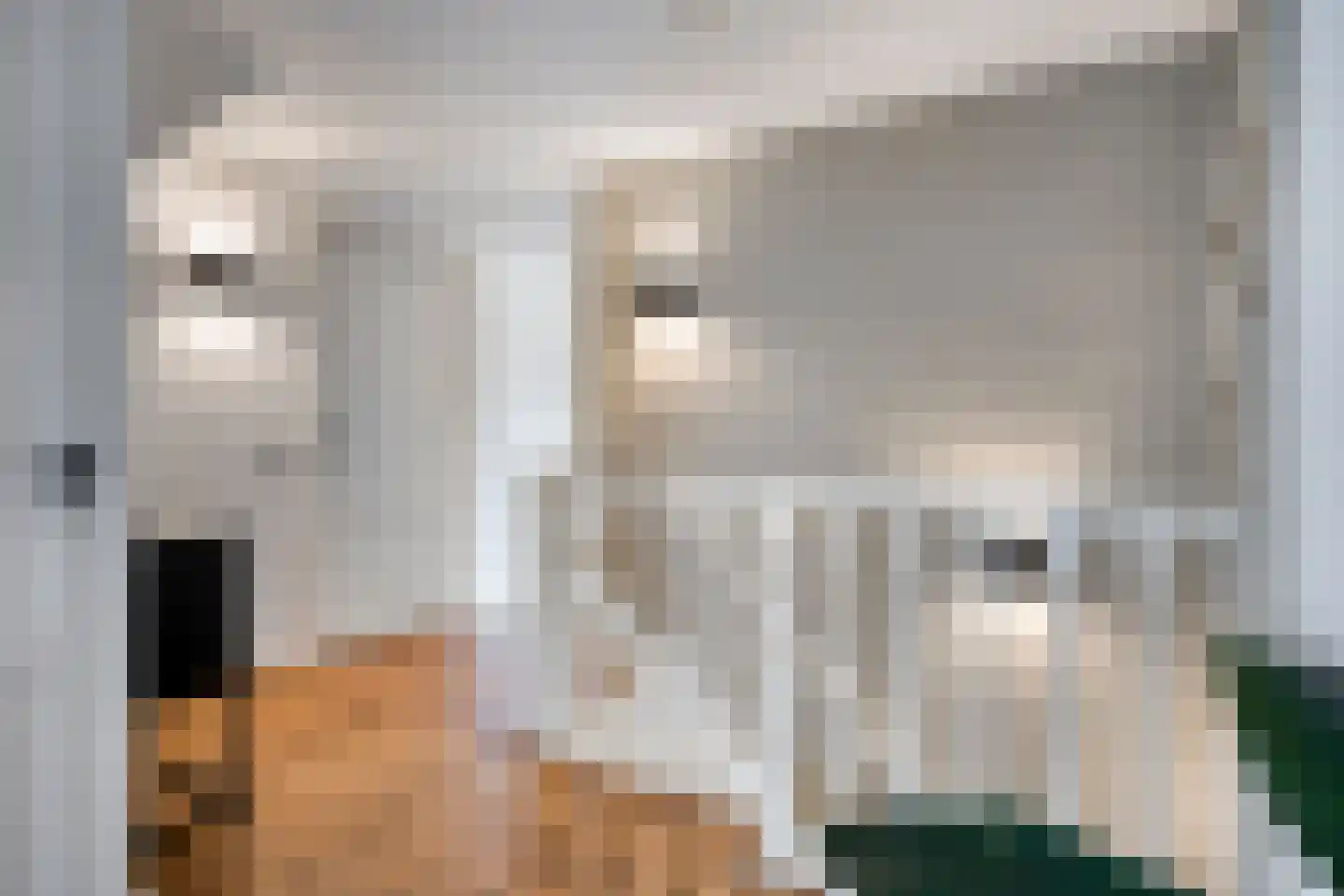 Matterhorn 24 Eindhoven thumbnail 29