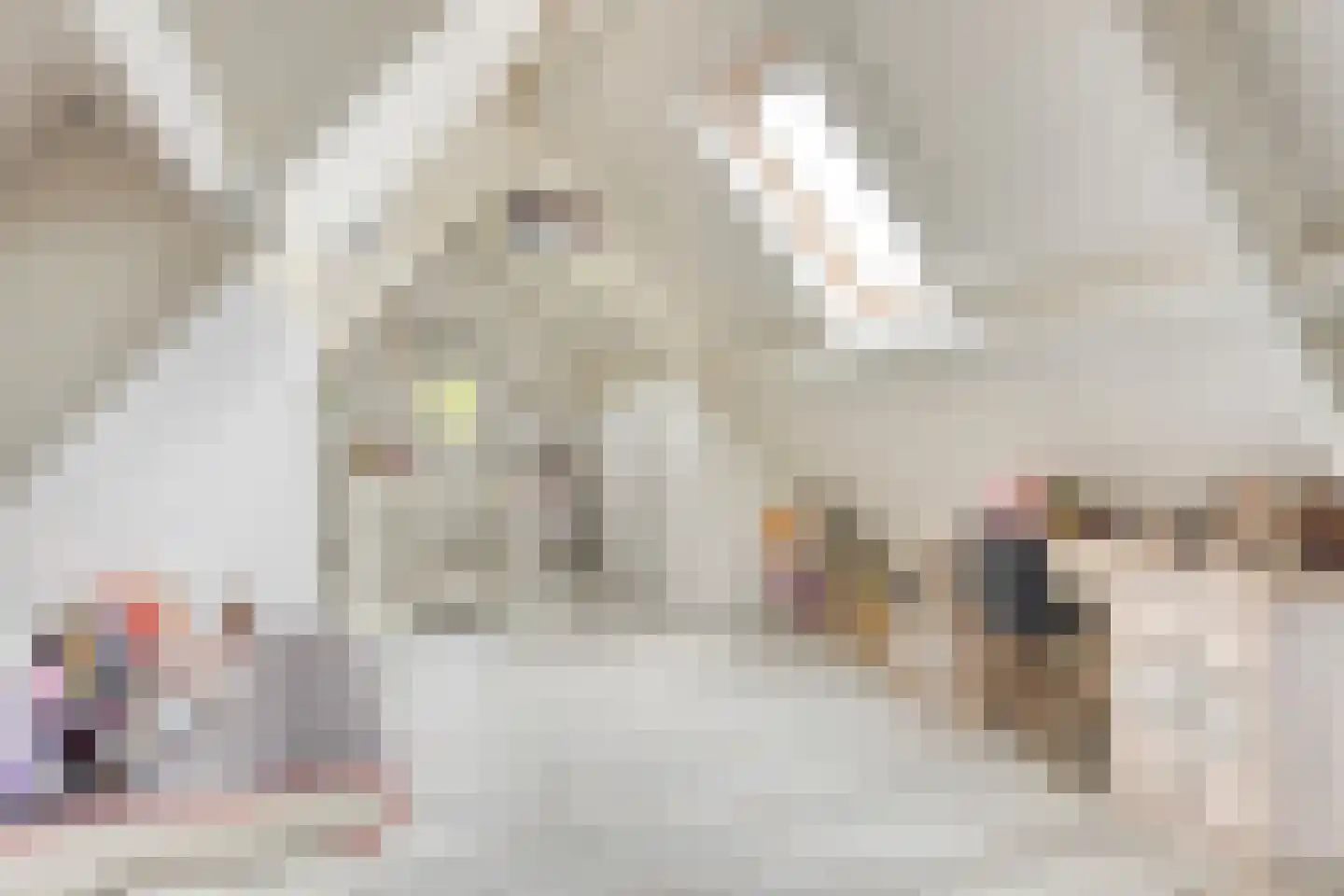 Matterhorn 24 Eindhoven thumbnail 55