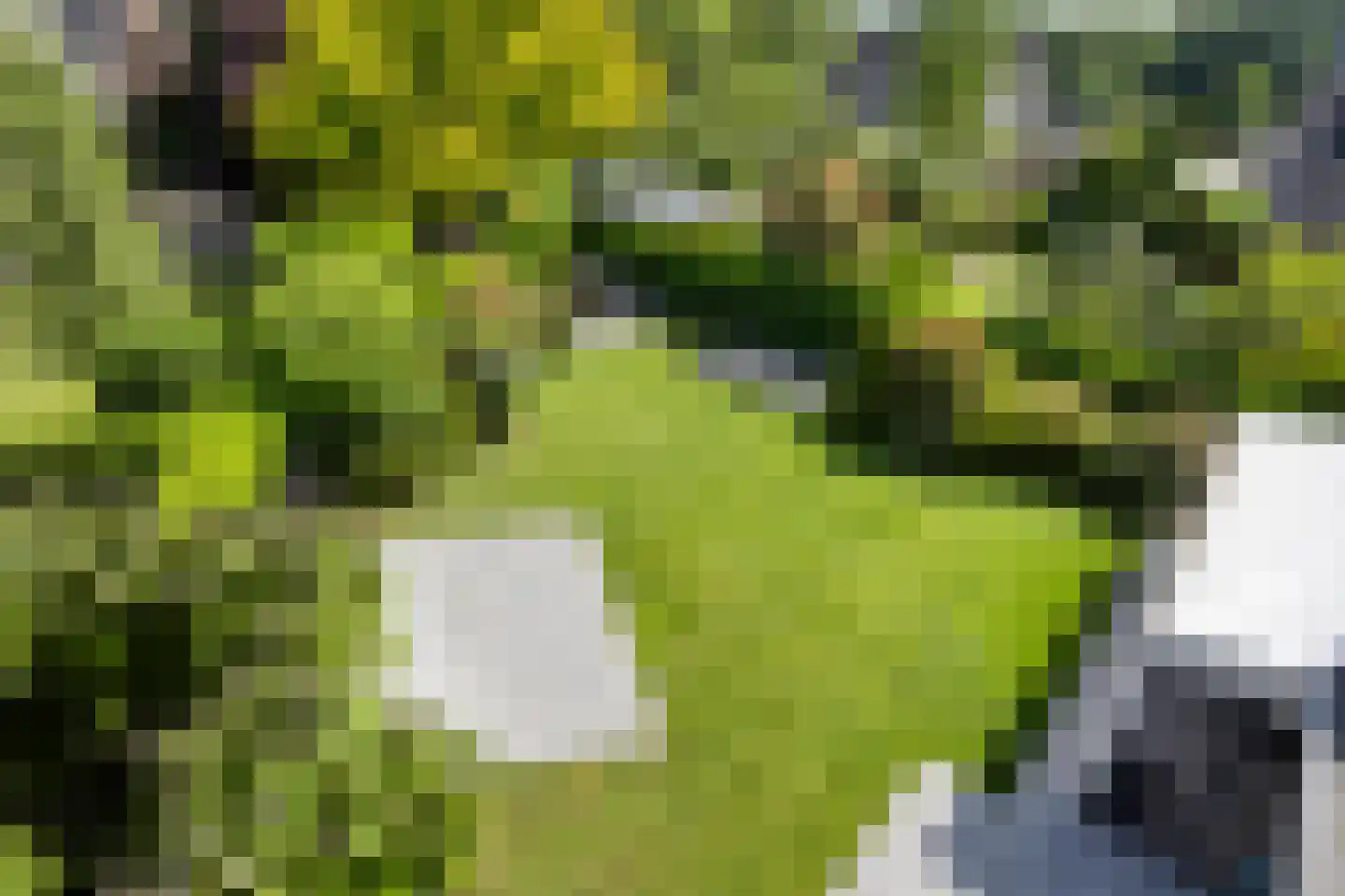 Matterhorn 24 Eindhoven thumbnail 65