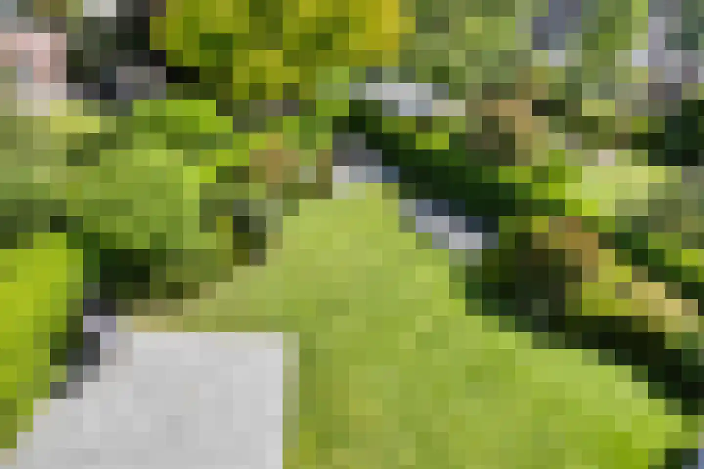 Matterhorn 24 Eindhoven thumbnail 66