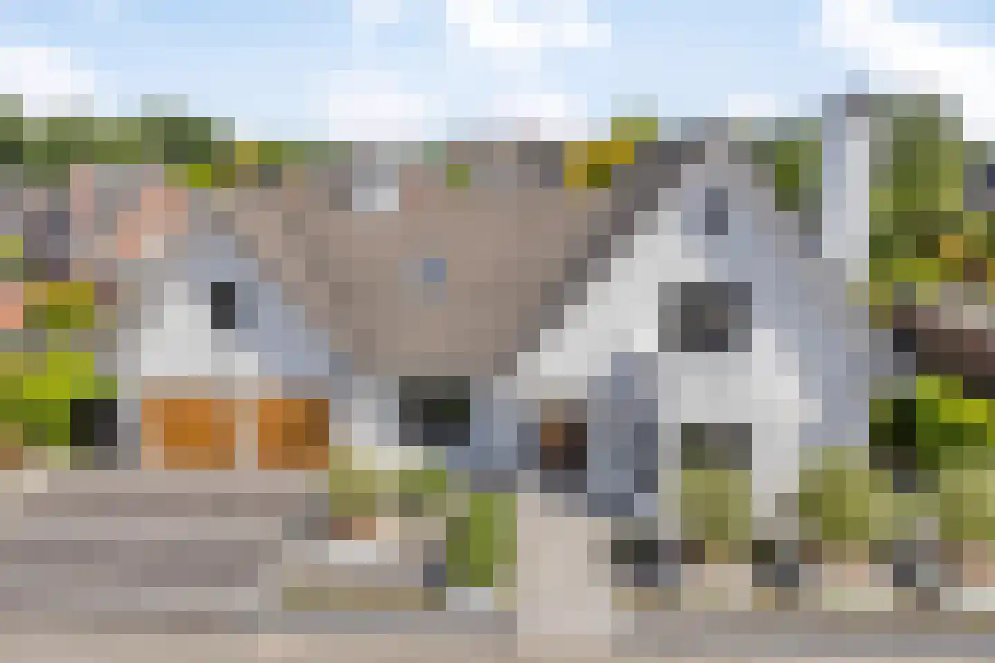 Matterhorn 24 Eindhoven thumbnail 69