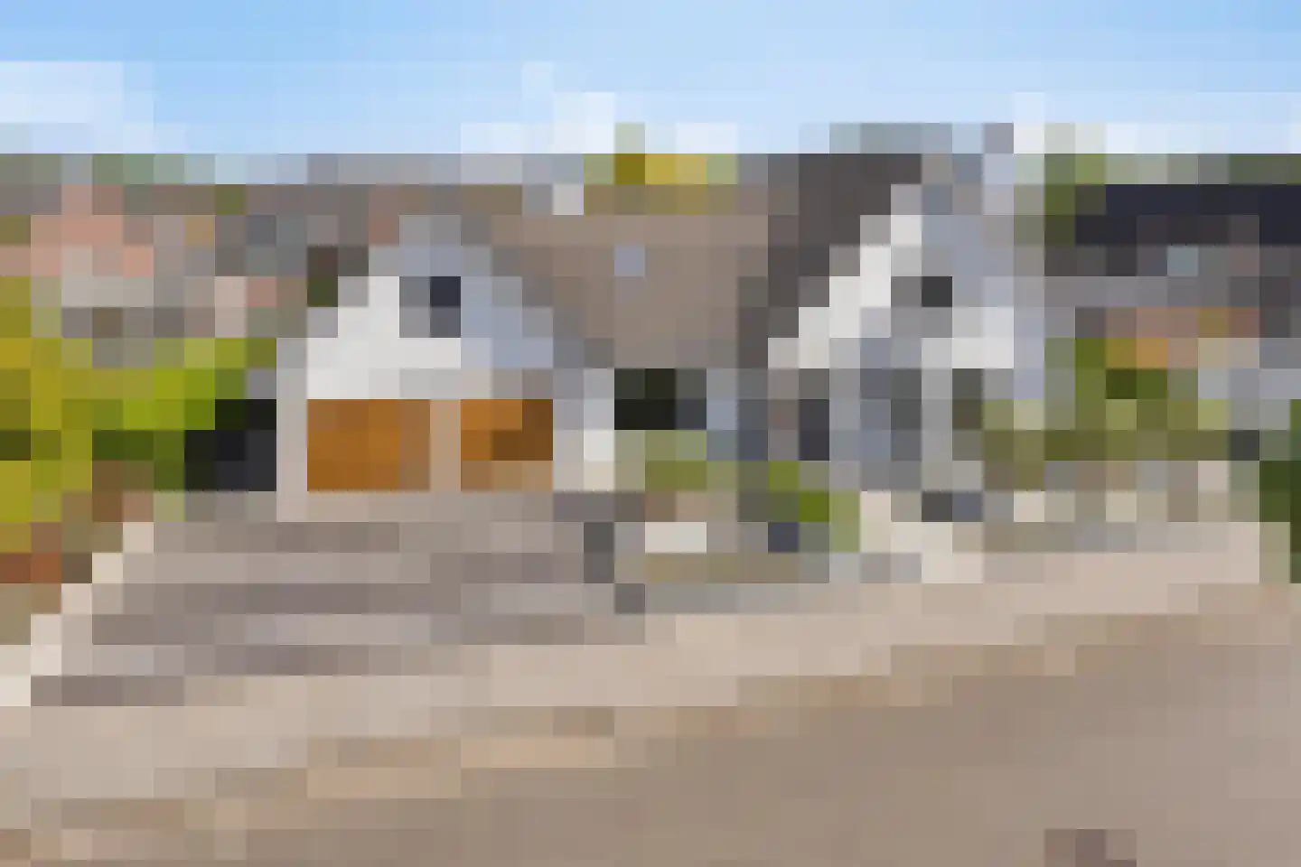 Matterhorn 24 Eindhoven thumbnail 71