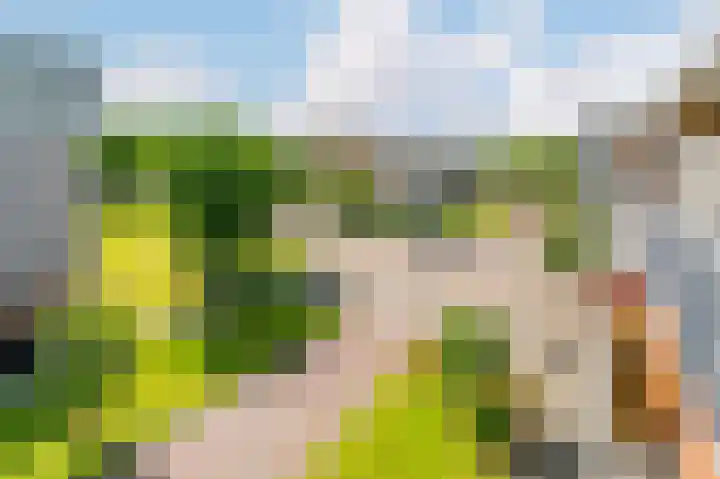 Matterhorn 44 Amstelveen thumbnail 20