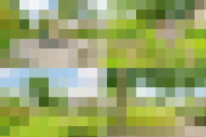 Matterhorn 44 Amstelveen thumbnail 29