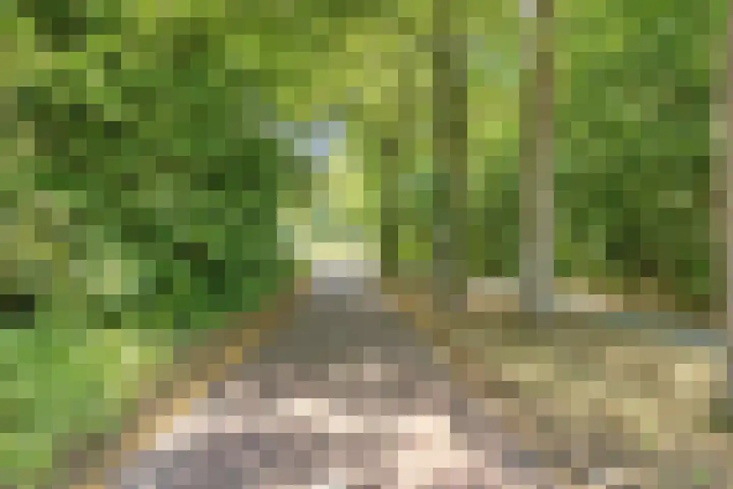 Matterhorn 8 Eindhoven thumbnail 38