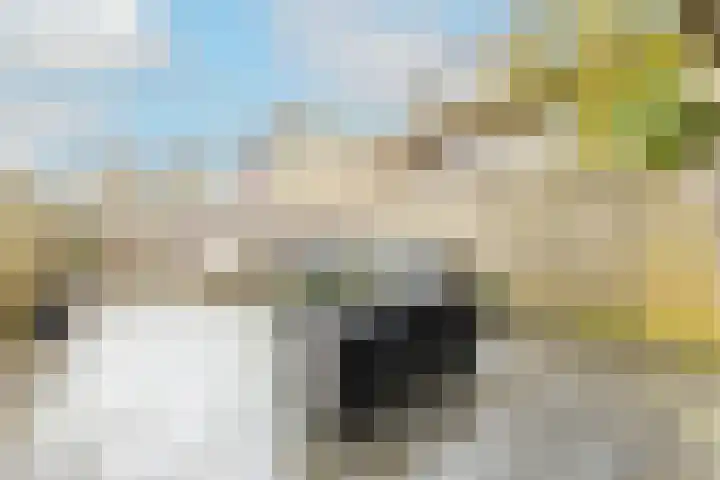 Matterhorn 8 Utrecht thumbnail 27