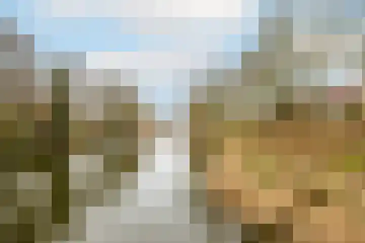 Matterhorn 8 Utrecht thumbnail 35