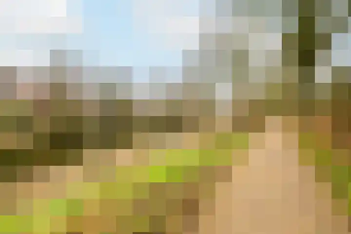 Matterhorn 8 Utrecht thumbnail 37