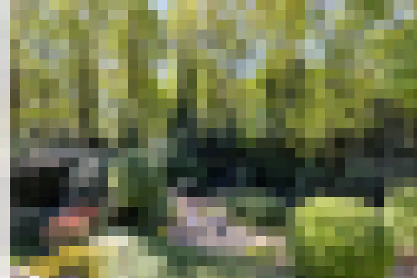 Matterhornlaan 22 Venray thumbnail 33