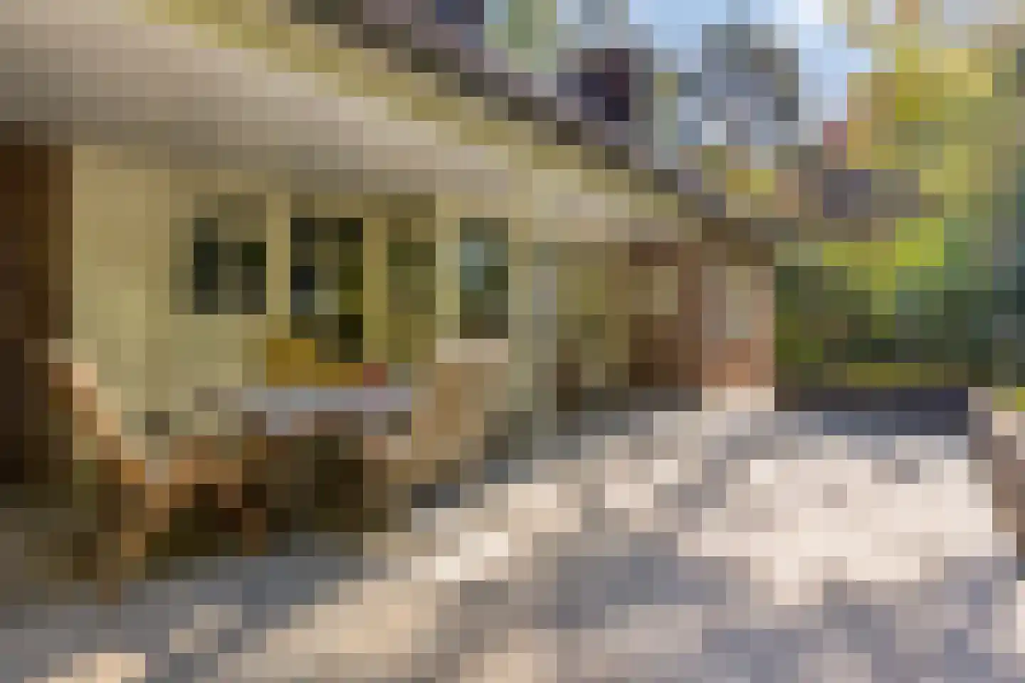 Matterhornlaan 22 Venray thumbnail 47
