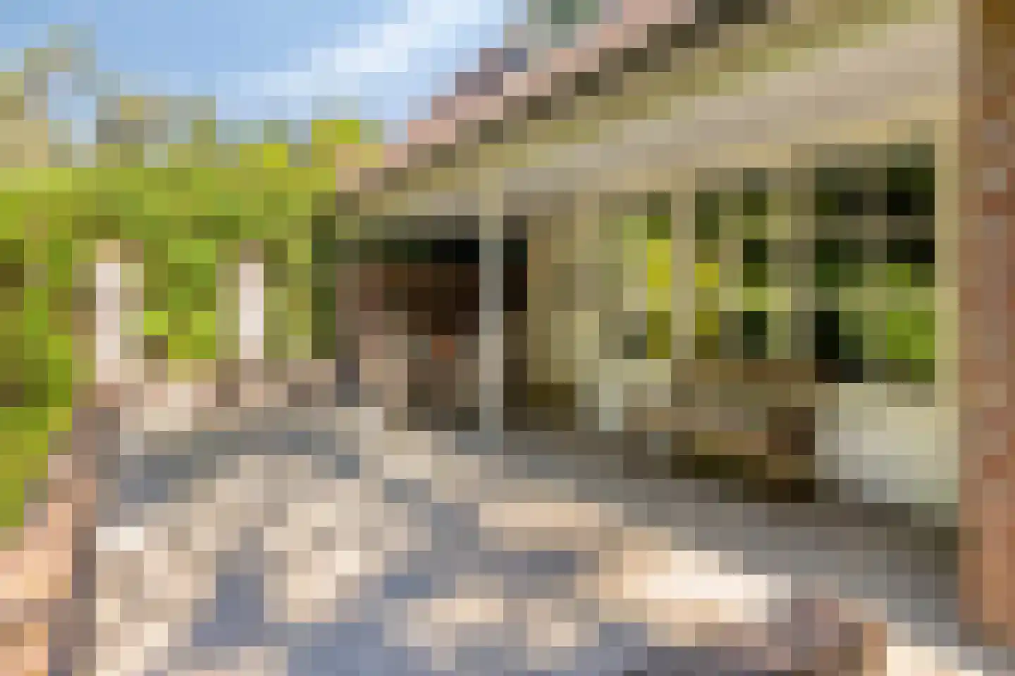 Matterhornlaan 22 Venray thumbnail 48