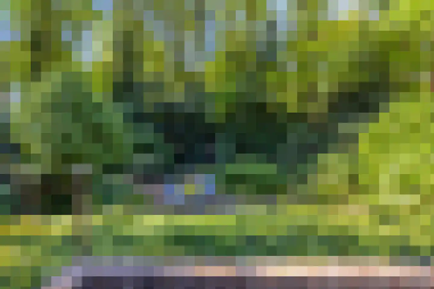 Matterhornlaan 22 Venray thumbnail 51