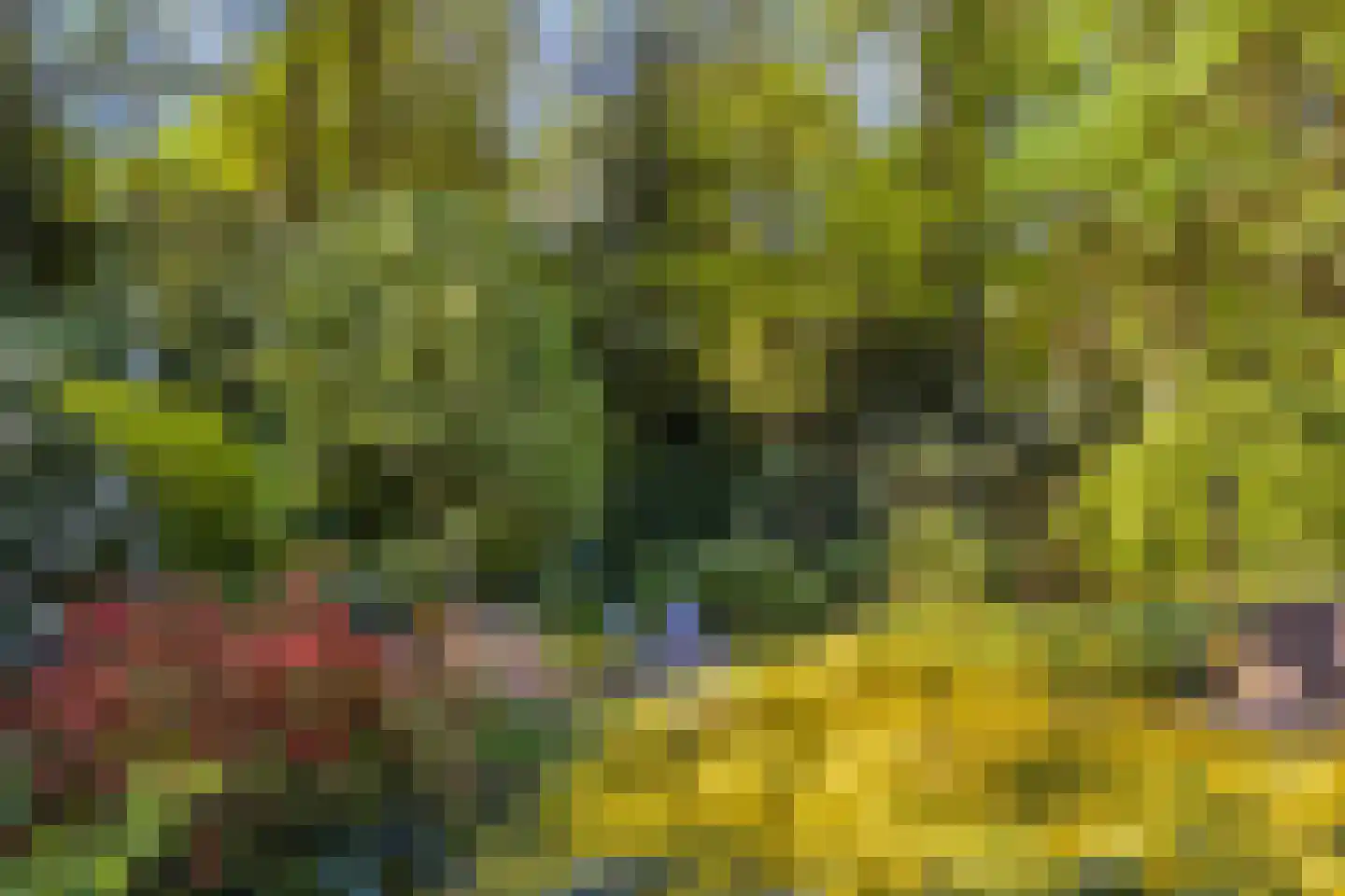 Matterhornlaan 22 Venray thumbnail 52
