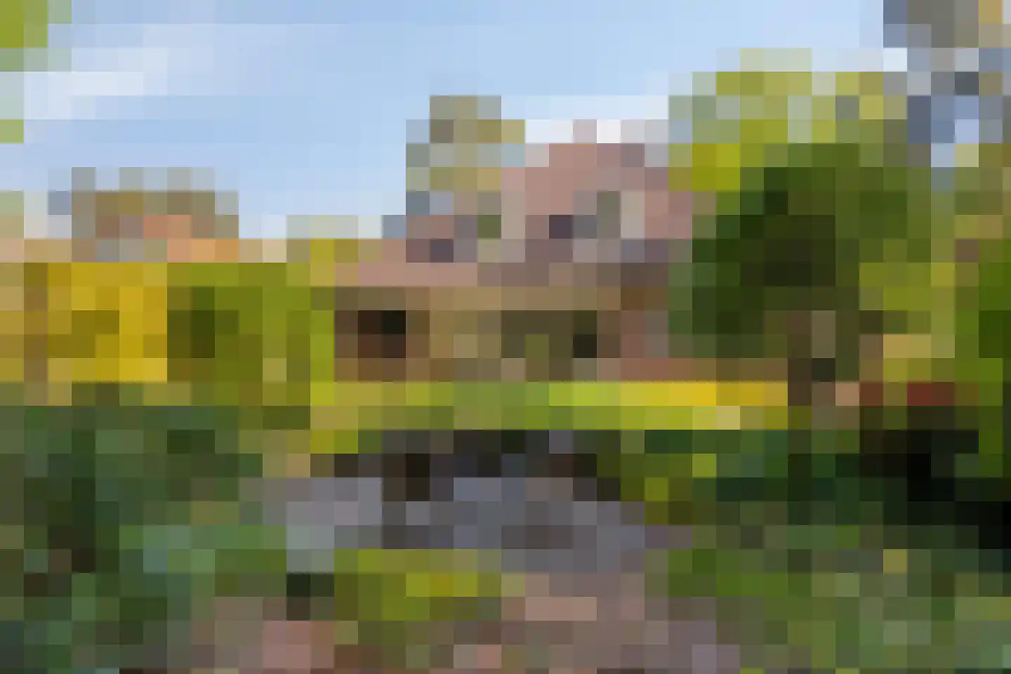 Matterhornlaan 22 Venray thumbnail 58