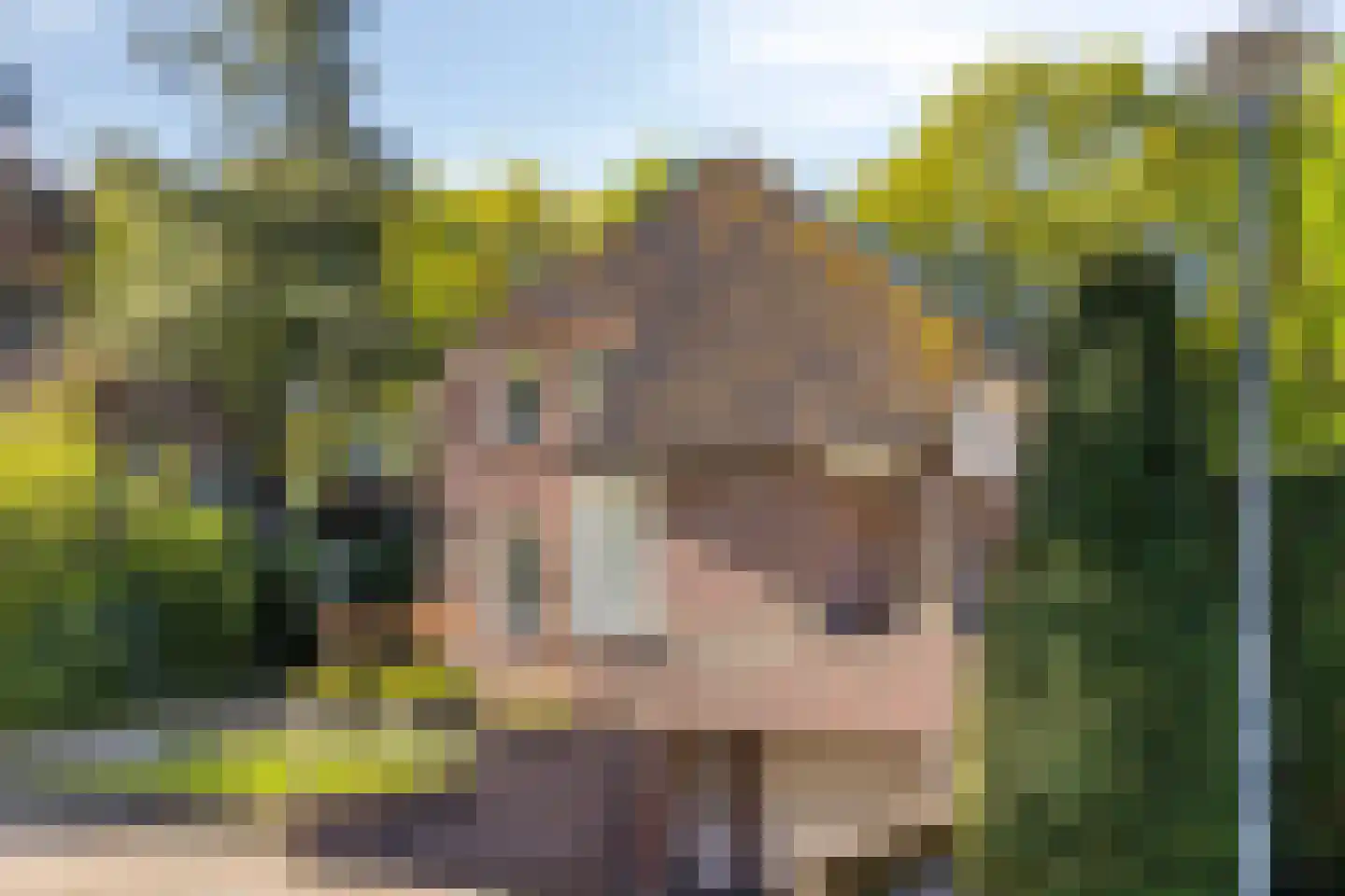 Matterhornlaan 22 Venray thumbnail 61