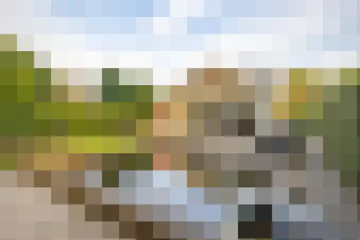 Matterhornlaan 6 Venray thumbnail 38