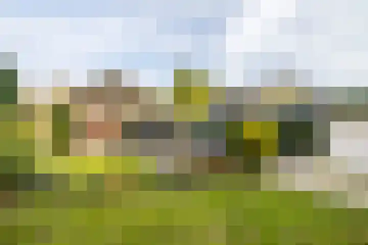 Matterhornlaan 6 Venray thumbnail 39