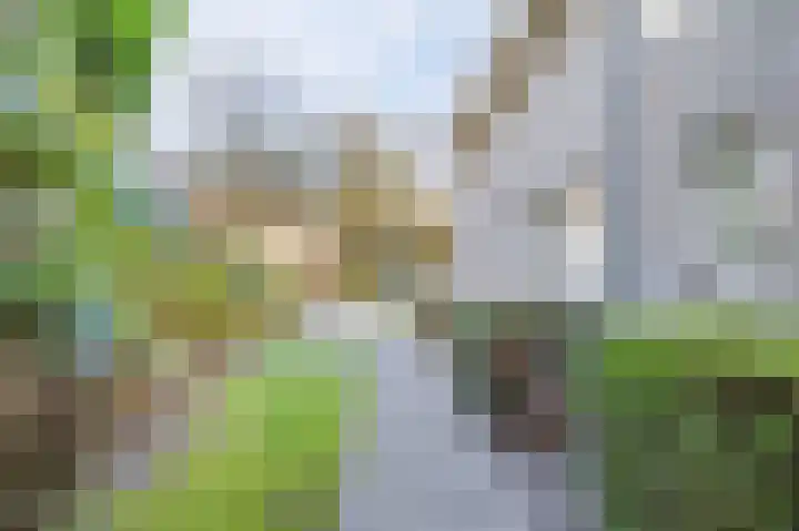 Matterhornlaan 6 Venray thumbnail 43