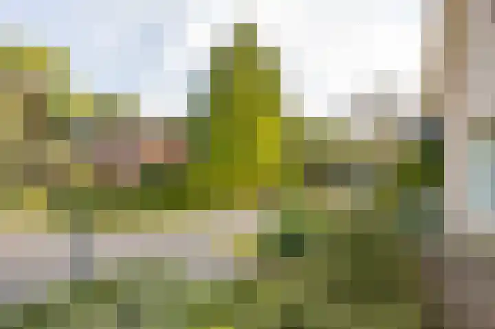 Matterhornlaan 6 Venray thumbnail 48