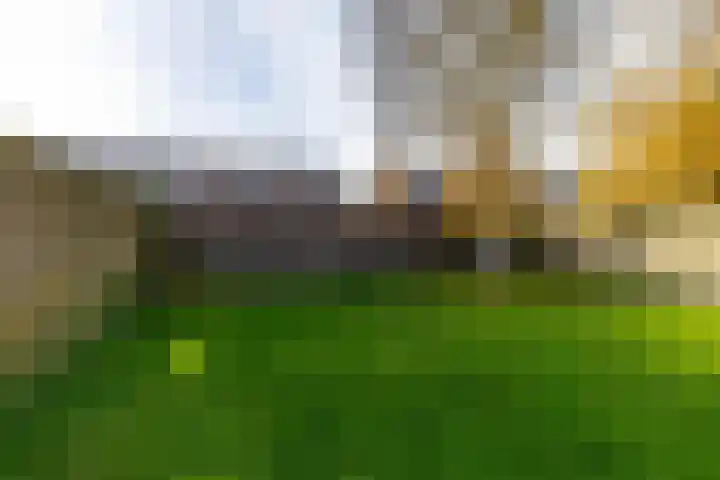 Mattheus Mulderstraat 18 Sappemeer thumbnail 23