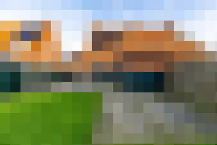 Mattheus Mulderstraat 18 Sappemeer thumbnail 24