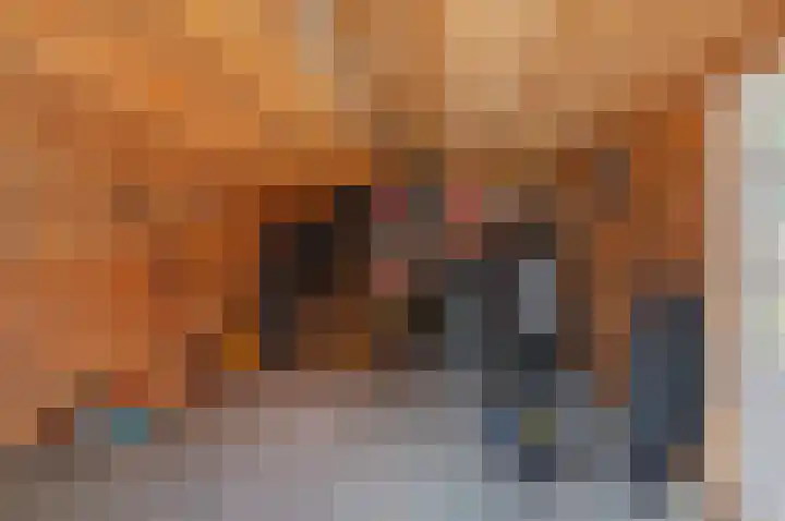 Mattheus Mulderstraat 4 Sappemeer thumbnail 36