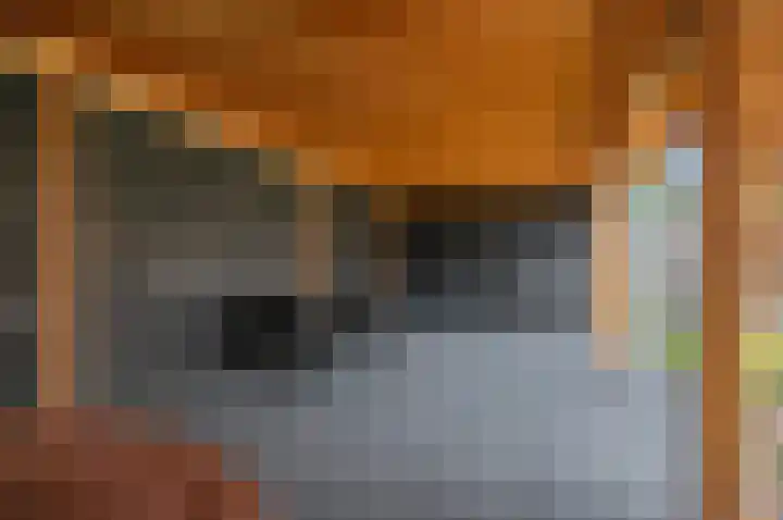 Mattheus Mulderstraat 4 Sappemeer thumbnail 43