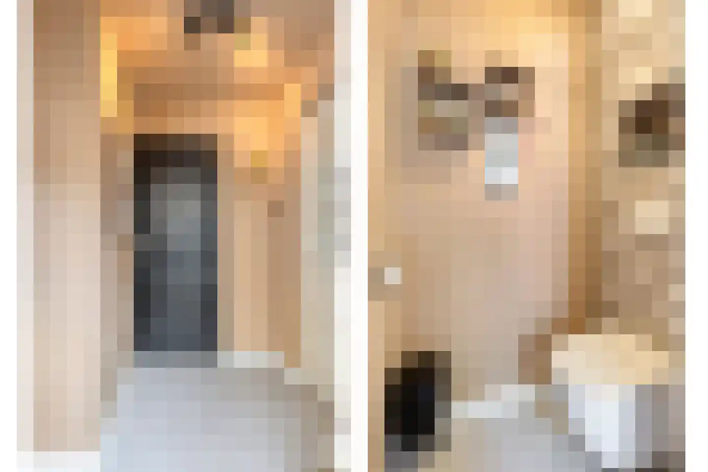 Mattheus Mulderstraat 5 Sappemeer thumbnail 14