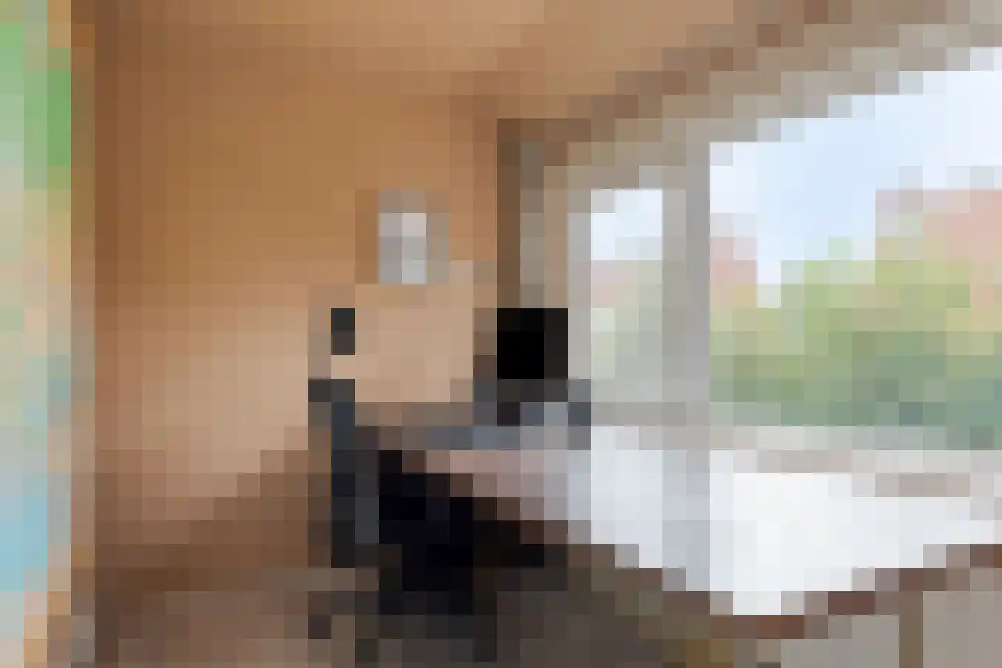 Mattheus Mulderstraat 5 Sappemeer thumbnail 20