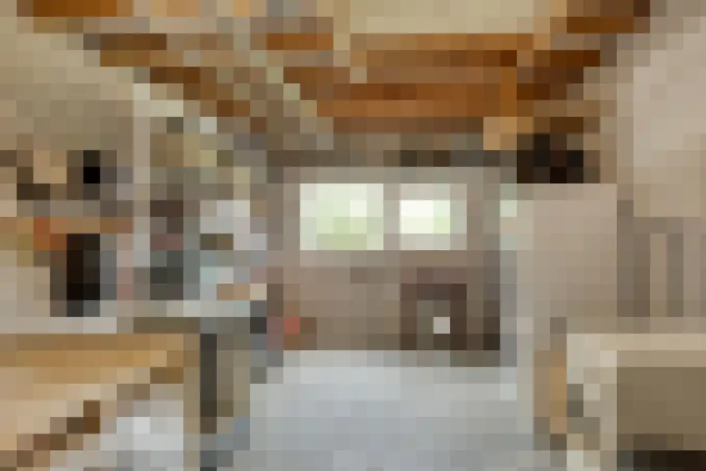Mattheus Mulderstraat 5 Sappemeer thumbnail 24