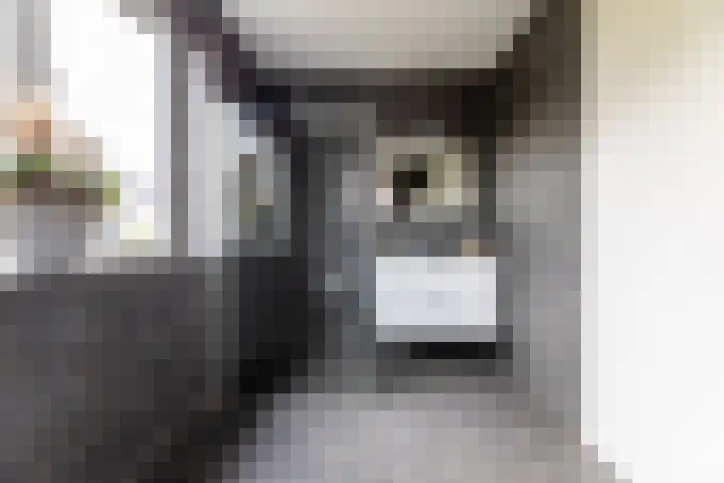 Matthias Wolffstraat 3 Hoogerheide thumbnail 25